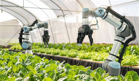Startup businesses receive support to build smart agriculture in .